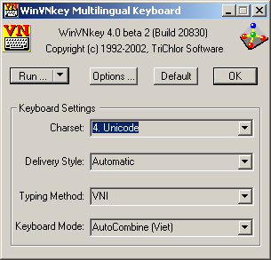 WinVNKey options